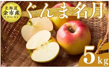 [先行受付:2024年11月上旬以降発送]余市産 ぐんま名月 松村農園産のりんご 5kg