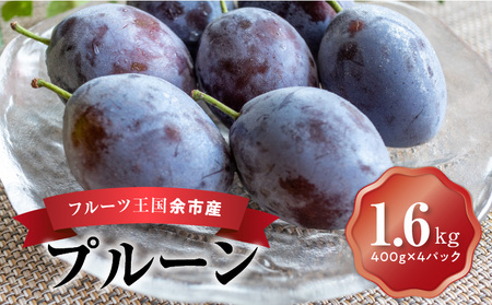 【先行予約：2026年9月上旬以降発送】フルーツ王国余市産「プルーン」 400g×4パック【ニトリ観光果樹園】_Y074-0159