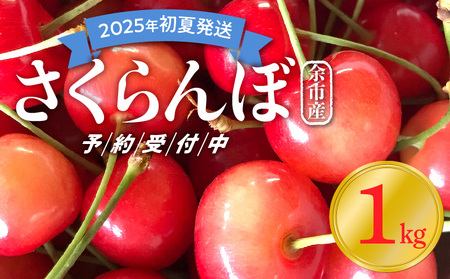 [2025年初夏発送]さくらんぼ 毎年大好評!こだわりの東谷農園 余市産 さくらんぼ 1kg