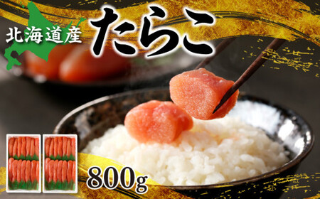 kCYuƂvƂ gtqi炱j800g_Y002-0014
