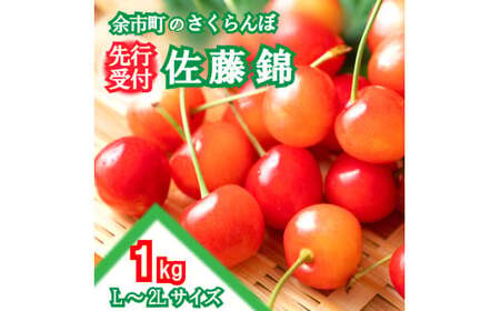 2025年発送[先行予約]令和7年産 佐藤錦[L〜2Lサイズ]1Kg[すこやか自然農園]