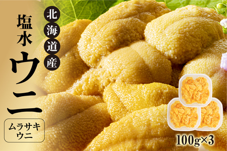 ystzkCY@뉮EjiTLEjj300g_Y038-0144