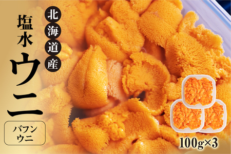 ystzkCY@뉮EjiotEjj300g_Y038-0146