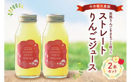 中井観光農園ストレートりんごジュース2本セット