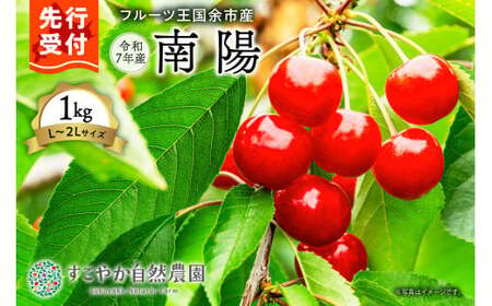 2025年発送[先行予約]令和7年産 南陽[L〜2Lサイズ]1Kg[すこやか自然農園]