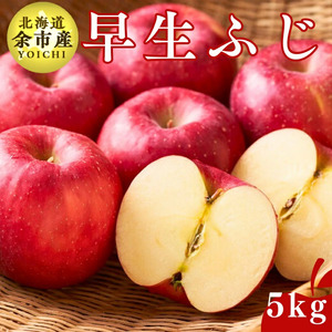 [先行受付:2025年11月上旬以降発送]余市産 ぐんま名月 松村農園産のりんご 5kg