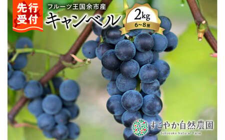 2025年発送[先行予約]令和7年産ぶどう(キャンベル)2kg箱6〜8房[すこやか自然農園]