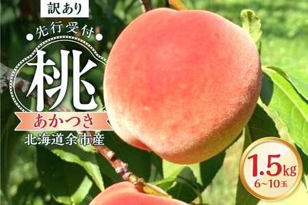 [2026年産 先行予約][北海道余市産]訳アリ 桃「あかつき」1.5kg(6〜10玉)