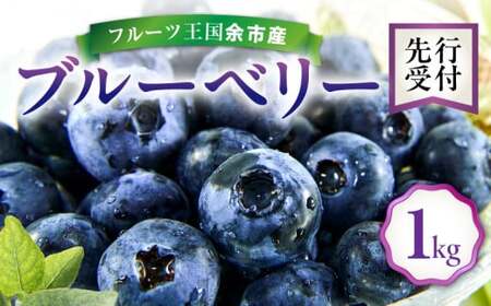 【先行予約：8月上旬以降発送】フルーツ王国余市産 生ブルーベリー 1Kg【ニトリ観光果樹園】_ Y074-0130