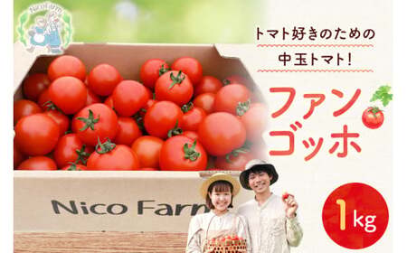 NicoFarm ファンゴッホ(中玉トマト)1Kg