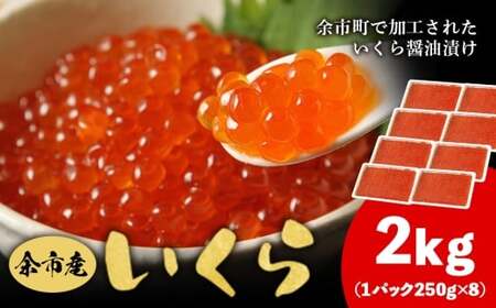 ]sY i 500g × 4 j2kg  Ղ2kg   i ߂ ґ򂢂_Y020-0708