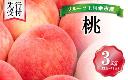 【先行予約：2026年8月中旬以降発送】フルーツ王国余市産「桃」 3kg【ニトリ観光果樹園】_Y074-0147