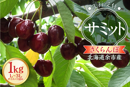 [2026年産 先行予約][北海道余市産]さくらんぼ「サミット」(L〜3Lサイズバラ詰め)500g×2パック