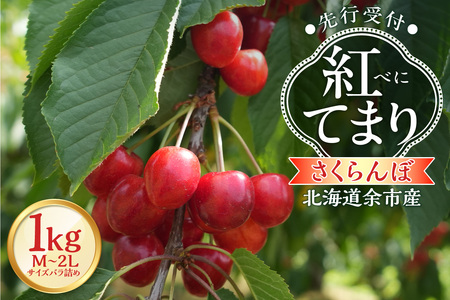 y2026NY s\zkC]sYځugĂ܂viM`2LTCYol߁j500×2pbN_Y103-0057