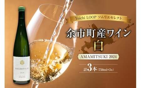 Yoichi LOOP ソムリエセレクト 余市町産ワイン AMAMITSUKI 2024【白】3本セット_Y055-0074