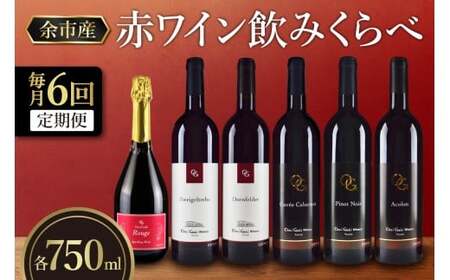 [定期便6回][OcciGabi Winery]赤ワイン飲みくらべ定期便 OcciGabi Winery 赤ワイン 定期便 1本×6ヶ月[ワイン]