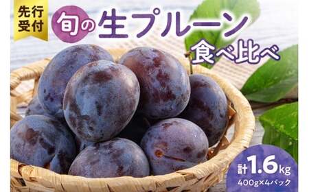 [先行予約:2026年8月以降発送]旬の生プルーン 食べ比べ 1.6kg(400g×4パック)
