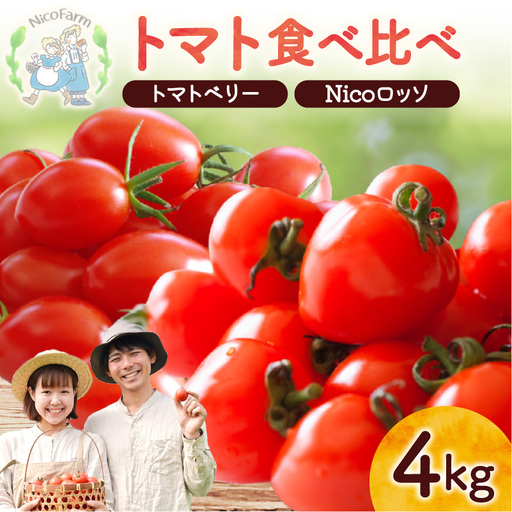 【先行予約】フルーツのように甘いミニトマト2種 各2kg トマトベリー & Nicoロッソ_Y124-0023