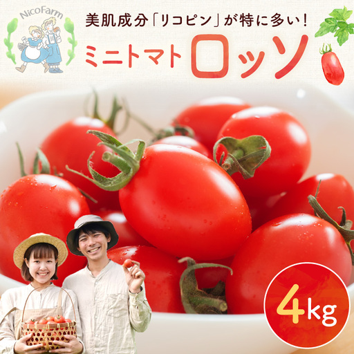 【先行予約】おやつに最適！Nicoロッソ 4kg ヘタなしミニトマト_Y124-0026