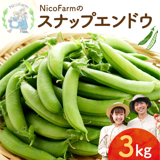 【先行予約6月上旬】甘くてシャキシャキ！スナップエンドウ 3kg えんどう豆_Y124-0050