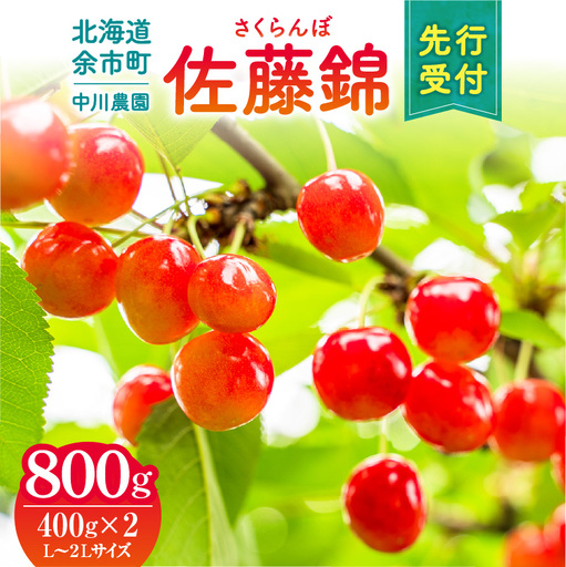 2026年発送[先行予約]令和8年産 さくらんぼ 佐藤錦[L〜2Lサイズ]400g×2 [合同会社中川農園]