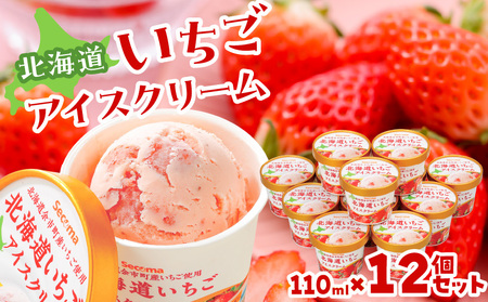 北海道いちごアイスクリーム 110ml×12個セット ギフト