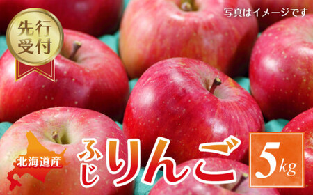 [2025年11月下旬以降発送分先行予約]りんご (ふじ) 5kg