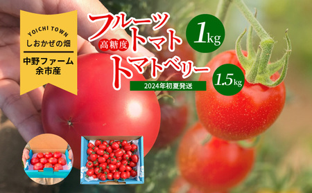 〔先行受付〕しおかぜの畑 中野ファーム 余市産フルーツトマト 1kg・トマトベリー 1.5kgセット(2024年初夏発送) 