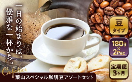 [全3回定期便] [コーヒー豆]葉山スペシャル珈琲豆アソートセット 2パック入り コーヒー豆 珈琲豆 コーヒー [Cafetier][ASAD009]
