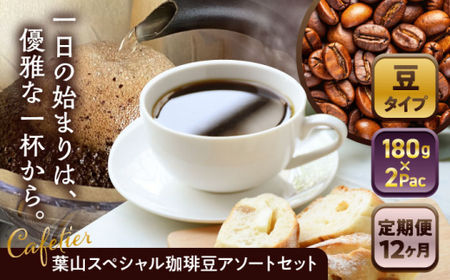 [全12回定期便][コーヒー豆]葉山スペシャル珈琲豆アソートセット 2パック入り コーヒー豆 珈琲豆 コーヒー[Cafetier][ASAD021]