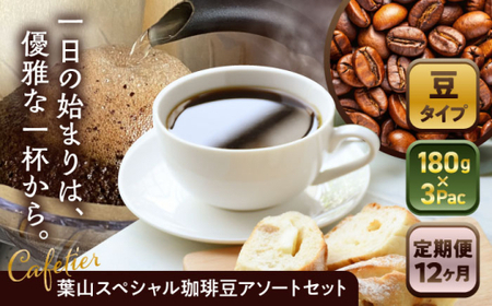 [全12回定期便][コーヒー豆]葉山スペシャル珈琲豆アソートセット 3パック入り コーヒー豆 珈琲豆 コーヒー[Cafetier][ASAD023]