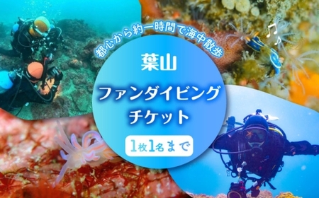葉山ダイビング ビーチエントリー2ダイブ チケット / ダイビング マリンスポーツ 神奈川県 葉山 [ダイビングショップNANA][ASAM001]