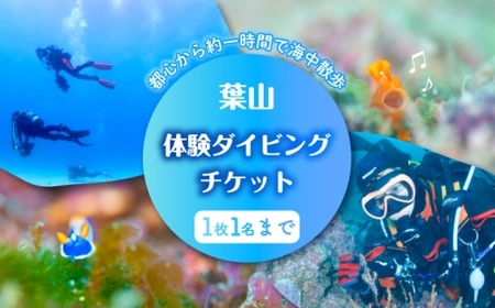 葉山体験ダイビング チケット / ダイビング マリンスポーツ 神奈川県 葉山 [ダイビングショップNANA][ASAM002]