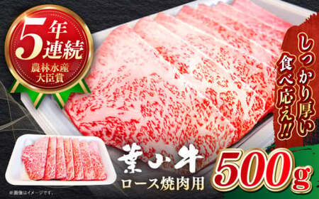 [葉山牛]500g ロース焼肉用/ 焼肉 和牛 牛肉 焼き肉[葉山牛ステーキレストラン 角車][ASBD004]