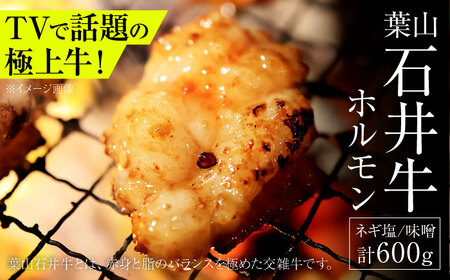 葉山石井牛ホルモン味噌味、ネギ塩味 各300g / 肉 牛 ホルモン 焼肉 黒毛 焼き肉[株式会社石井ファーム葉山マルシェ][ASCD013]