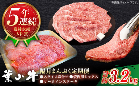 [隔月定期便全3回]葉山牛 まんぷく定期便(スライス盛合せ・焼肉用ミックス・サーロインステーキ)/牛肉 肉 焼肉 神奈川県 葉山町[葉山牛ステーキレストラン 角車][ASBD060]
