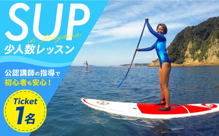 [公認講師が指導]初心者からSUPサーフィン挑戦まで!少人数制レッスン[ASCH001]