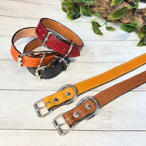 選べるサイズのイタリア本革の犬用首輪 (25mm幅) 小型/中型/大型 [ドラーロ] 犬用首輪 首輪 犬 ドラーロ SSサイズ黄色