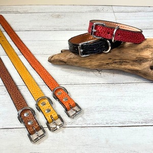 選べるサイズの 本革 犬 ・ 猫用 首輪 ( 15mm幅 ) 小型 / 中型 / 大型 [ドラーロ] サイズ:L カラー:黄