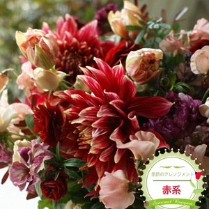 季節のアレンジメント(アレンジメント・生花:赤系) 事前やりとりしてのオーダーメイド。旬のお花と季節のグリーン、実物や枝物等を合わせてご用意いたします。[ 花束 アレンジメント 神奈川県 大磯町 ]