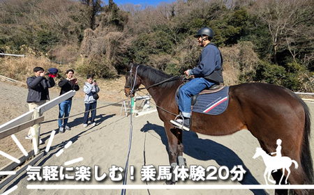 気軽に楽しむ!乗馬体験20分[ 体験 レッスン 神奈川県 大磯町 ]