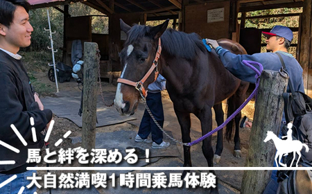 nJ[߂I厩Ri1ԏňy ̌ bX _ސ쌧 钬 z