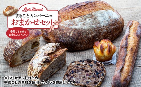 [定期便3か月] Lee's Breadまるごとカンパーニュおまかせセット 天然酵母パン ハード系ブレッド カンパーニュ 期間限定受付 配送地域限定