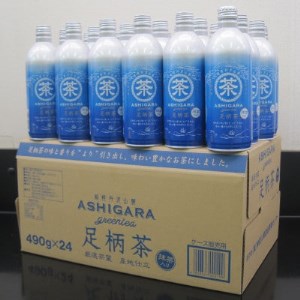 V[490g×24{y1273411z