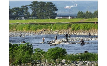 2026年 年間遊漁証(2026年1月1日〜12月31日利用分)