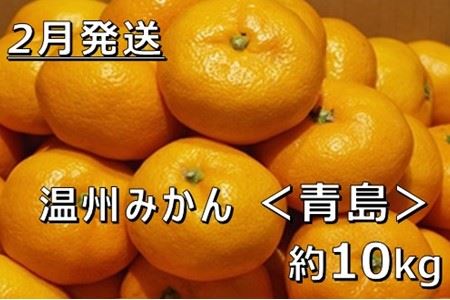 【2月中発送】【JAかながわ西湘】濃厚な甘さが自慢の「温州みかん（青島）」10kg | みかん 温州みかん ミカン みかん ミカン みかん