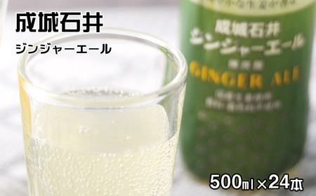 Έ WW[G[ 500ml×24{