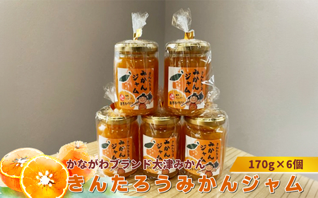 かながわブランド大津みかん きんたろうみかんジャム 170g×6個[ ジャム みかん 神奈川県 山北町 ]