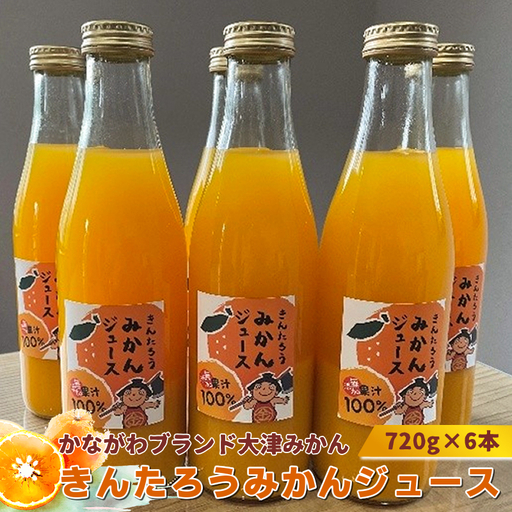 かながわブランド大津みかん きんたろうみかんジュース720g×6本[ ジュース みかん 神奈川県 山北町 ]