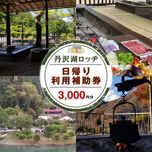 丹沢湖ロッヂ日帰り利用補助券3,000円分